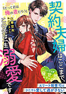 契約夫婦はここまで、この先は一生溺愛です～エリート御曹司はひたすら愛して逃がさない～【極甘婚シリーズ】【SS付き】
