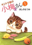 キジトラ猫の小梅さん