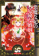 悪魔な妃の危険な婚姻（イラスト簡略版）